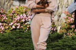 九游体育-莎拉波娃赛事官方发布赛事规则更新新规，日本队争议不断！的简单介绍