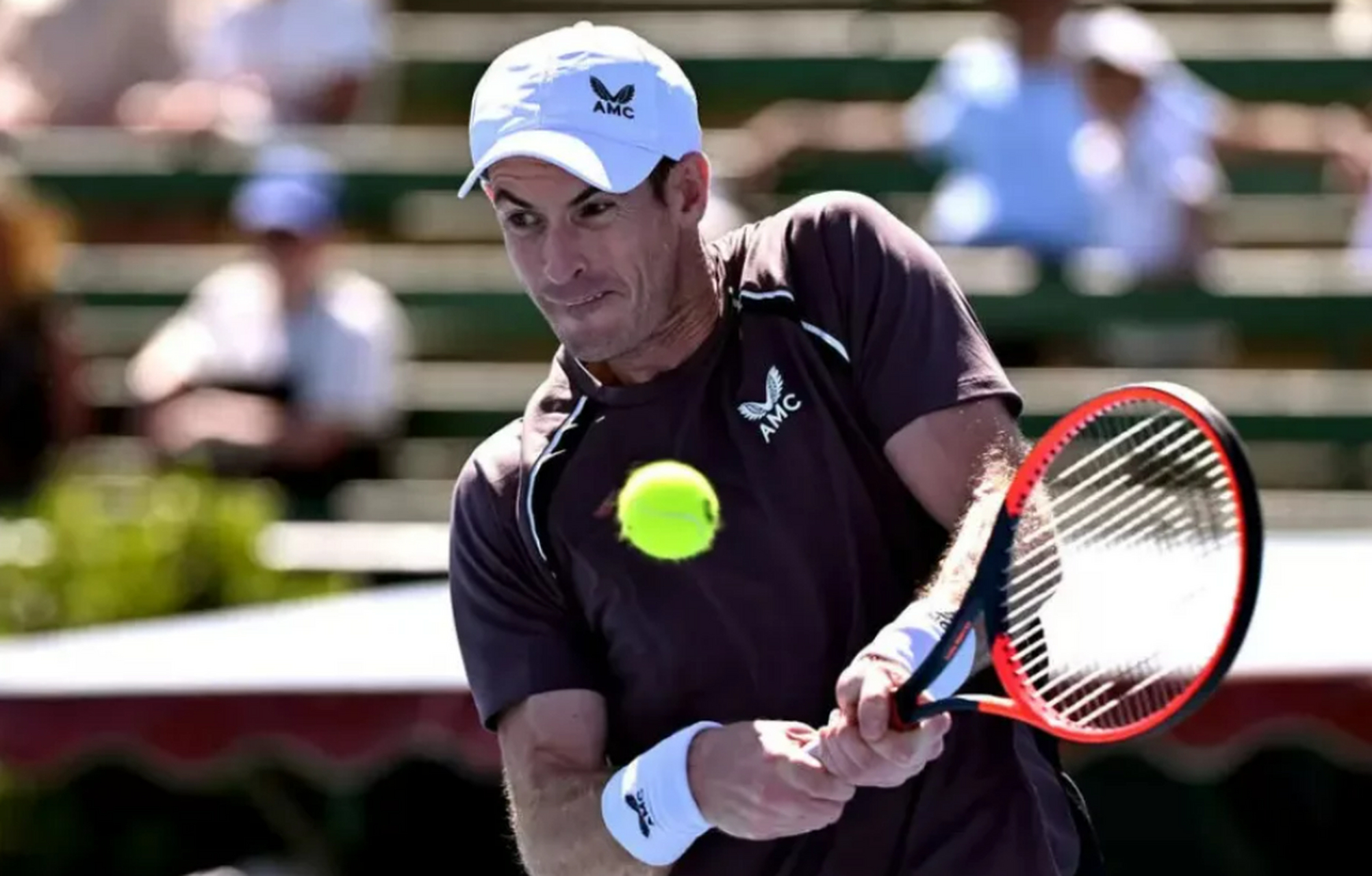 关于穆雷回归赛场，大胜首场状态亮眼，雄鹿观众沸腾！的信息